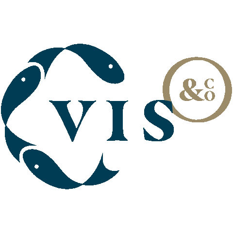 CVisenCo giphyupload logo vis cvisenco Sticker