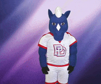 Take A Bow GIF by Providence Day School