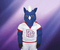 Spirit Yes GIF by Providence Day School