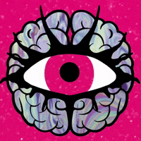 GIF by Pedalbrainz