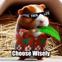 GIF by Guinea Gambino