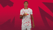 Proud Sport GIF by RB Leipzig