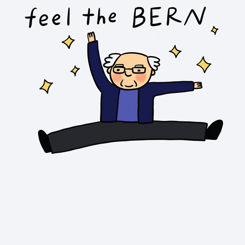 Bernie Sanders Vote GIF by Mia Page