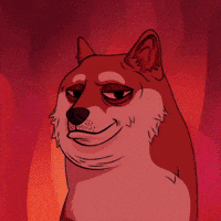 Suspicious Shiba Inu GIF by Doge Pound