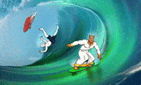 Wave Ocean GIF by Camel Dad