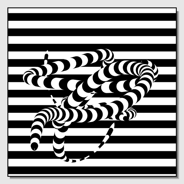 Black And White Loop GIF by xponentialdesign