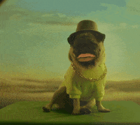 Fun Lol GIF by Oi_oficial