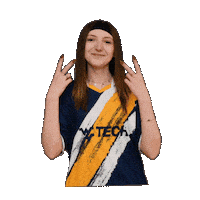 Esports Overwatch Sticker by WVU Tech Golden Bears