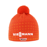 V Vie Sticker by Viessmann Climate Solutions