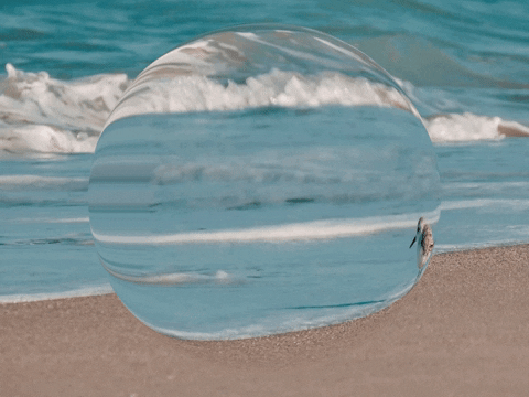 Germany Wow GIF by FranchiseCHECK.de