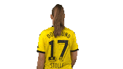 handballbundesligafrauen handball bvb borussia dortmund hbf Sticker