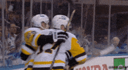 Ice Hockey Sport GIF by NHL