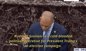 Senate Impeachment Trial GIF by GIPHY News