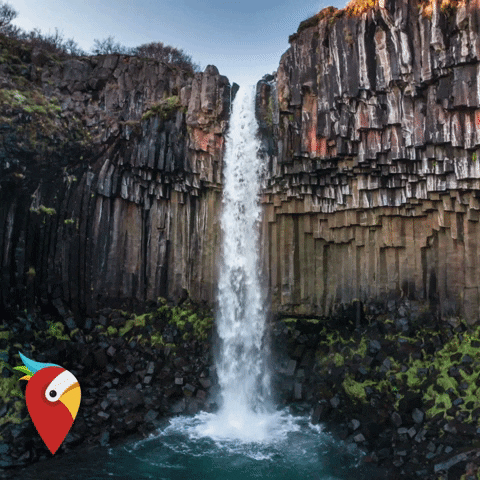 holidaypirates giphygifmaker travel adventure beautiful GIF