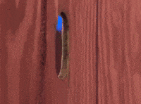 Season 2 Frog GIF by Nanalan'