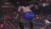 Fight Wrestling GIF by CNL Chile