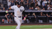 New York Yankees Win GIF by MLB