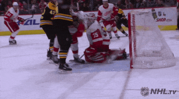 celebrate ice hockey GIF by NHL