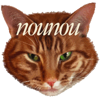 nounoulondon cat wink winking nounou Sticker