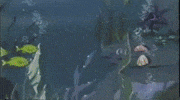 sea life ocean GIF by MANGOTEETH