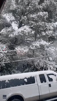 California Couple Watch On as Snow-Heavy Tree Crashes Down on Truck