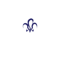 Rar Sticker by RITTER Broker