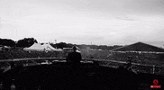 tjr GIF by Disco Donnie Presents