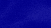 You Go Sister GIF by Jeopardy!