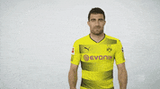 borussia dortmund yes GIF by Bundesliga