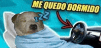 Dog Meme Me Quedo Dormido GIF
