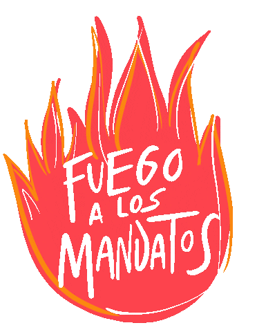 Feminist Ju Sticker