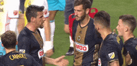 GIF by Philadelphia Union