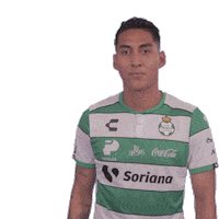 Sticker by Club Santos Laguna
