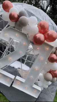 Theigloocompany party birthday flowers alcohol GIF