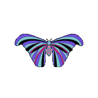 Butterfly Flying Sticker