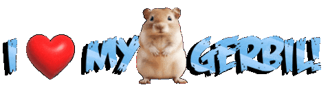 Guinea Pig Love Sticker