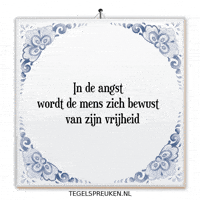 Humor Nl GIF by Tegelspreuken.nl