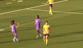 Angelina GIF by National Women's Soccer League