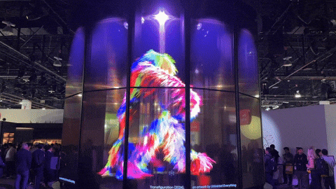 jose_leo giphyupload GIF