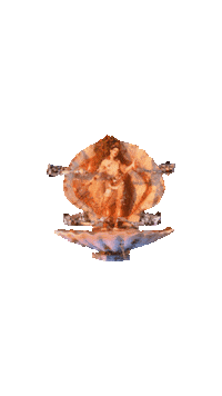 Shell Sticker by Arca