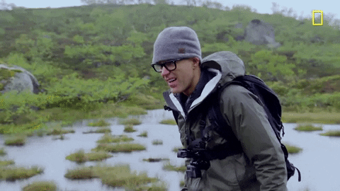 Bear Grylls GIF by National Geographic Channel