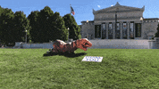 T Rex Thank You GIF by Field Museum