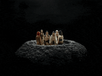 Girls Rule Pop Punk GIF by Universal Music Australia
