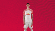 Oh Yeah Yes GIF by RB Leipzig