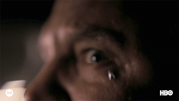 Season 4 Horror GIF by Westworld HBO