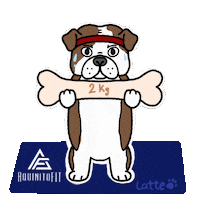 Dog Bulldog Sticker by aquinitofit
