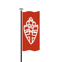 radboud_uni nijmegen radboud radboud university radboudlife Sticker