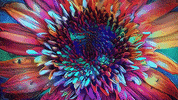 MichaelWoolheater digital art mwp michael woolheater photography flower art GIF