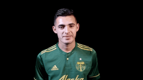 major league soccer GIF by Timbers