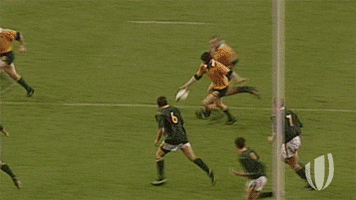 rugby world cup australia GIF by World Rugby